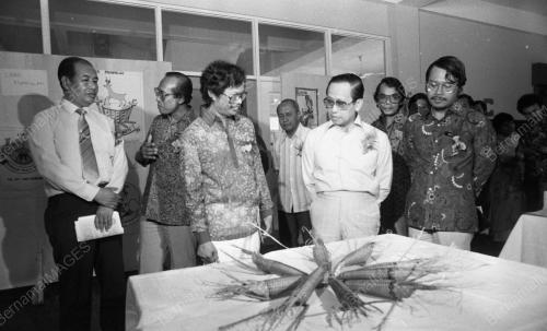 KB11_15012015_KEM_TUNAS_BUDAYA