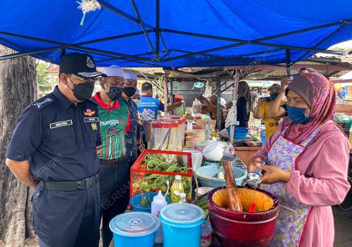 DATUK SHAFIEN MAMAT