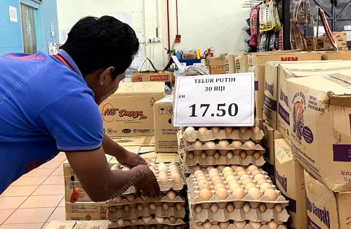 BEKALAN TELUR AYAM