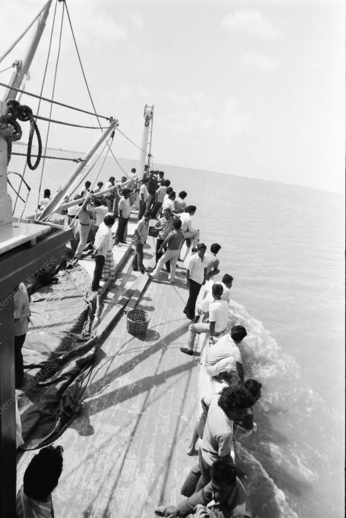 NELAYAN