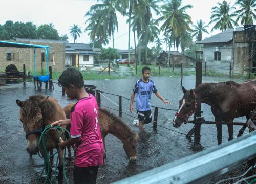 MOHD DANISH IKRAM MOHD FAISAL