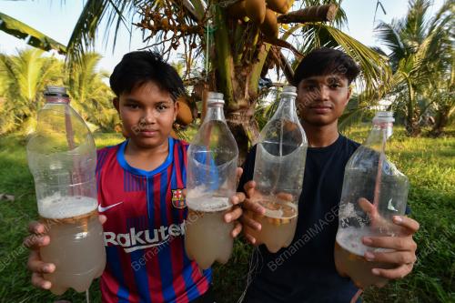 TUAK KELAPA