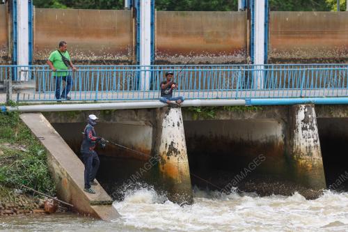 PEMANCING IKAN PATIN