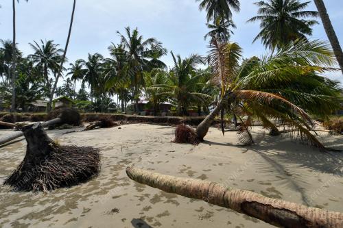 HAKISAN PANTAI