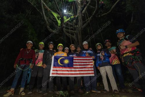 NIGHT ON TREE