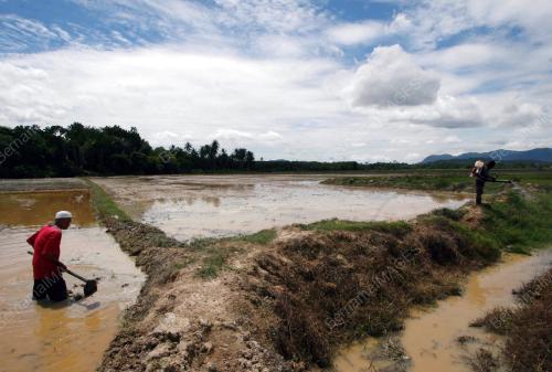 PETANI
