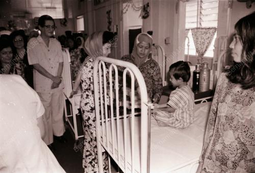 Tengku Anis bte Tengku Abdul Hamid (raja perempuan ktan)