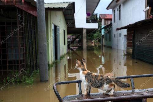 TINJAUAN BANJIR DI KAMPUNG KUBANG KUAU