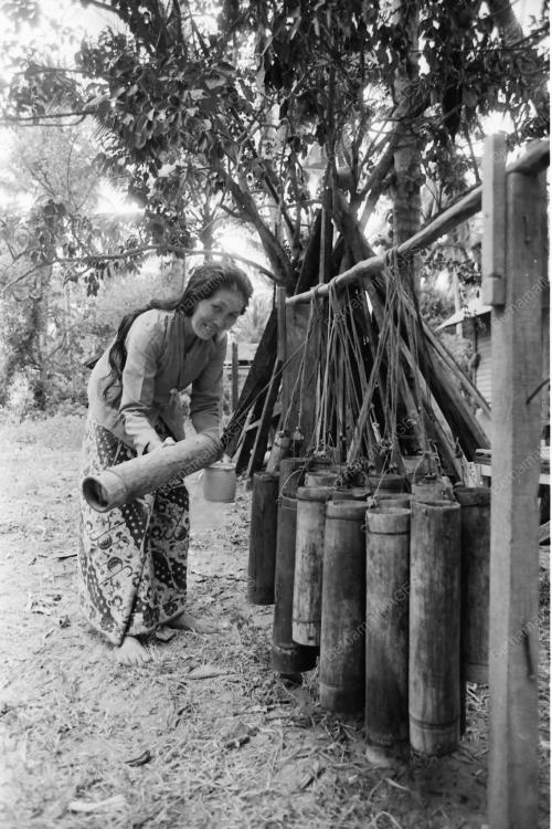 NIRA KELAPA
