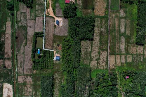SAWAH PADI KERING