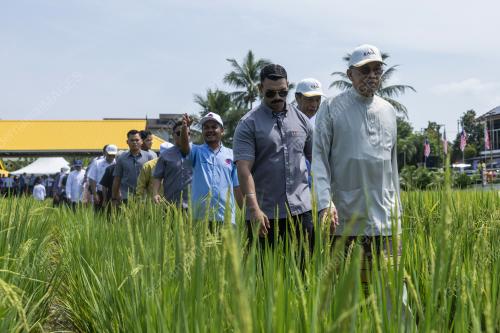 DATUK SERI ANWAR IBRAHIM