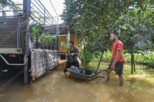 BANJIR TERMENUNG