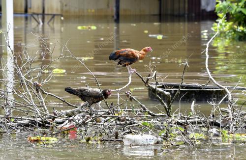 BANJIR DI KELANTAN
