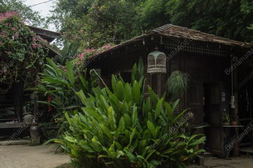 RUMAH SINGGORA
