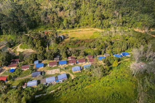 ORANG ASLI POS BALAR GUA MUSANG