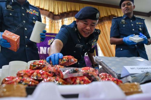 WAN JAMAL ABDUL SALAM WAN LONG
