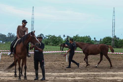 MEMANAH BERKUDA
