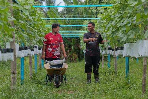 FERTIGASI MAMPU TARIK MINAT BELIA