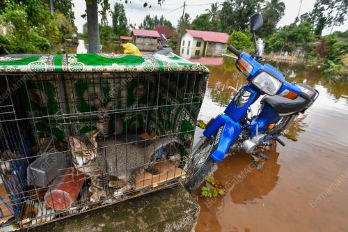 TINJAUAN BANJIR DI RANTAU PANJANG