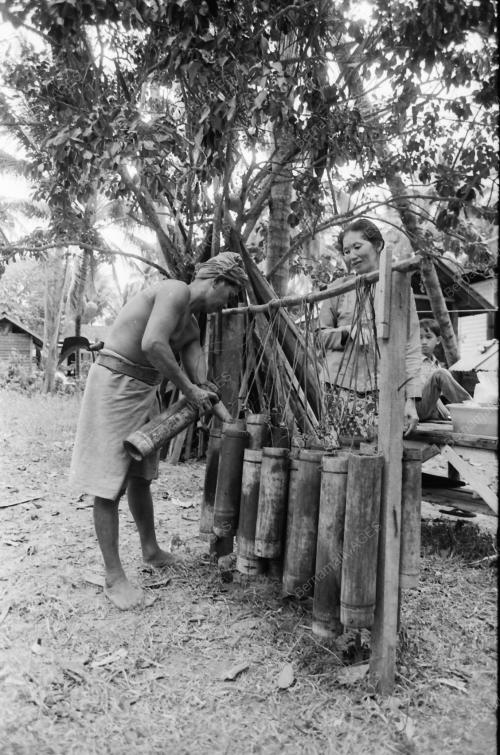 NIRA KELAPA