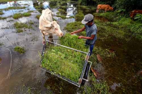 TINJAUAN BANJIR DI RANTAU PANJANG