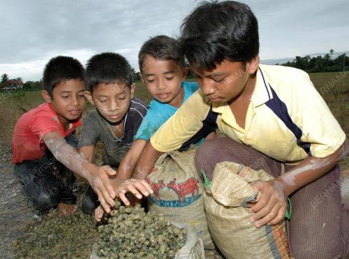 SIPUT SEDUT