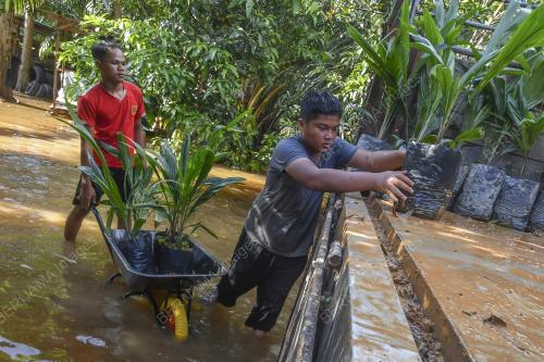 BANJIR TERMENUNG