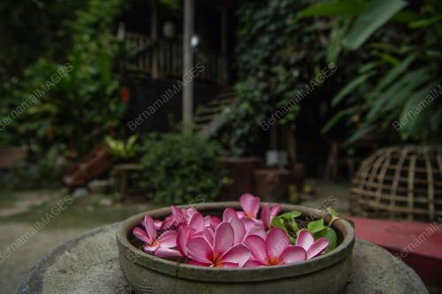 RUMAH SINGGORA