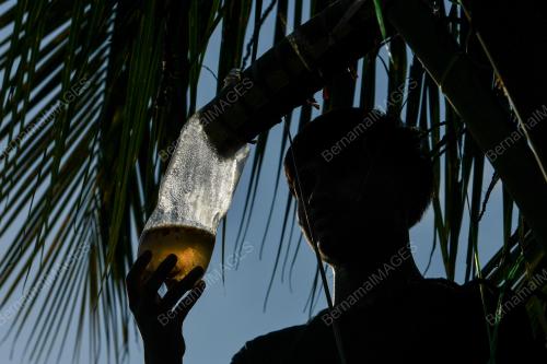 TUAK KELAPA