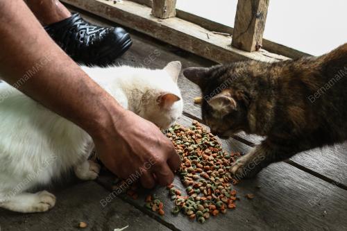 TINJAUAN BANJIR KAMPUNG TERSANG
