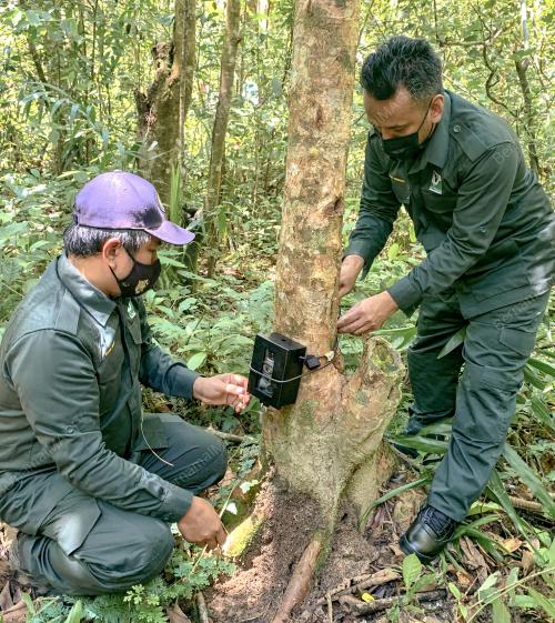 PERHILITAN PERANGKAP KAMERA