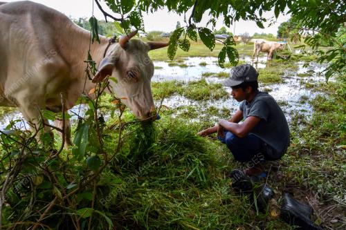TINJAUAN BANJIR DI RANTAU PANJANG
