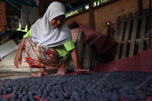 BUAH KERANJI