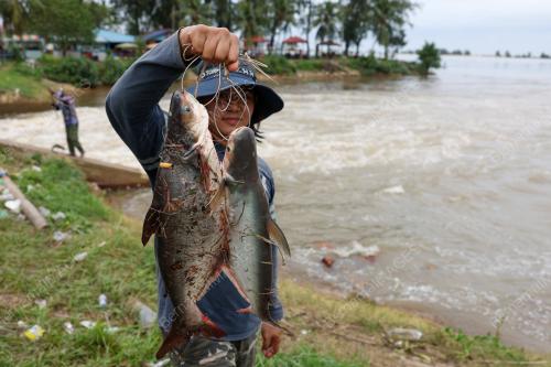 PEMANCING IKAN PATIN