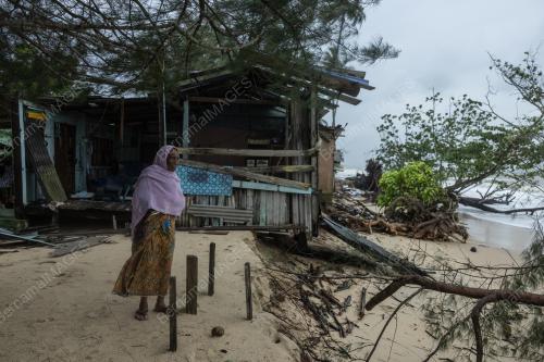 TINJAUAN HAKISAN PANTAI