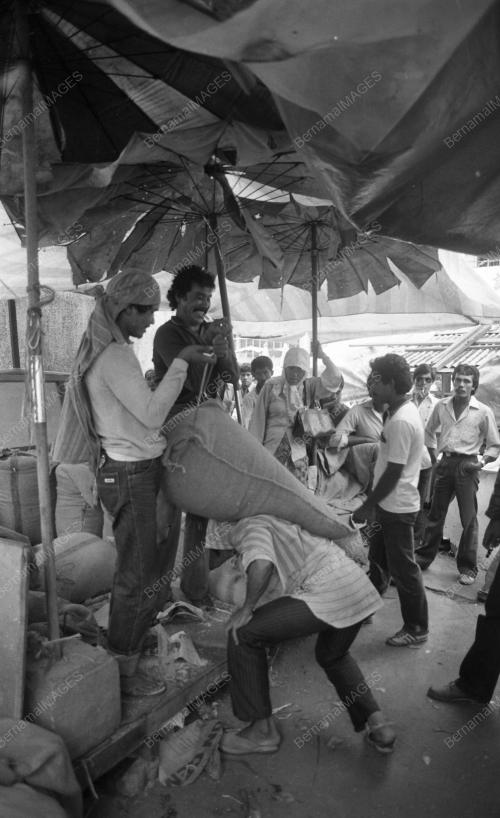 KB15_02032015_BERAS_SIAM