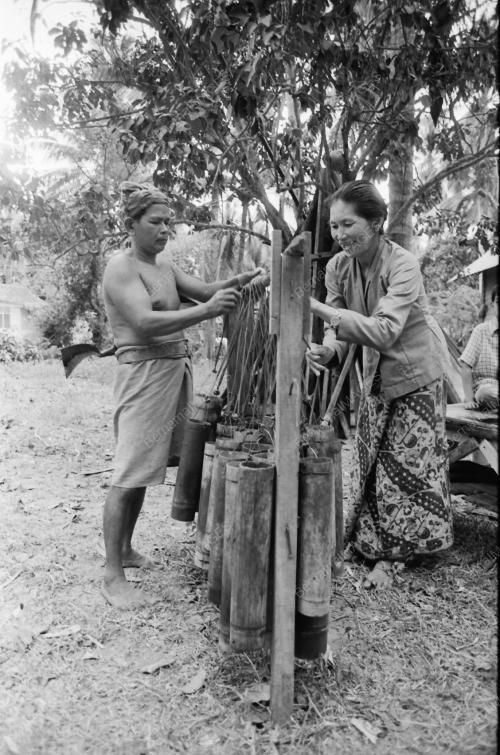 NIRA KELAPA