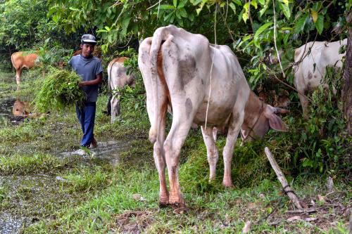 TINJAUAN BANJIR DI RANTAU PANJANG