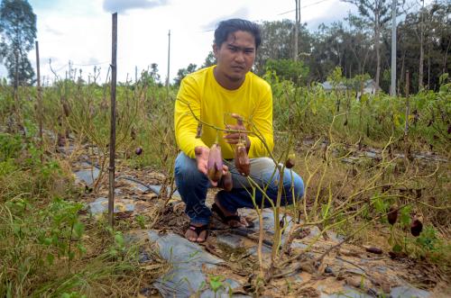 TERUNG ROSAK AKIBAT BANJIR