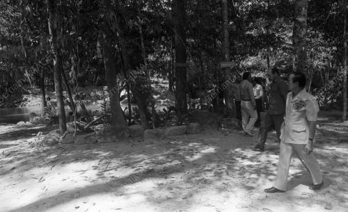 KB15_09032015_RASMI_HUTAN