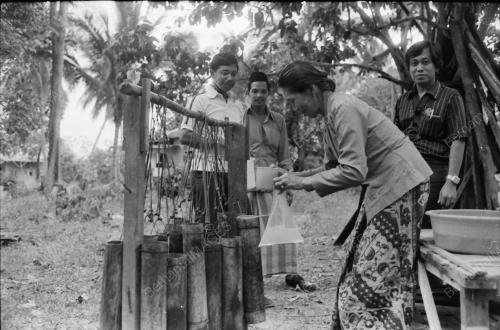 NIRA KELAPA