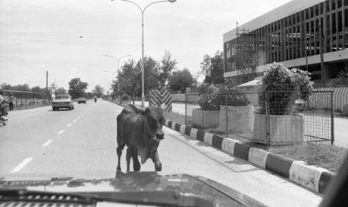 KB16_29012015_PELEPASAN_KERETA