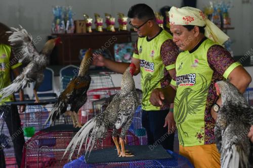 FESTIVAL UNGGAS ASEAN 2025