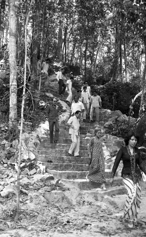 KB17_09032015_RASMI_HUTAN
