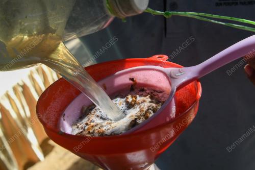 AIR NIRA KEPALA