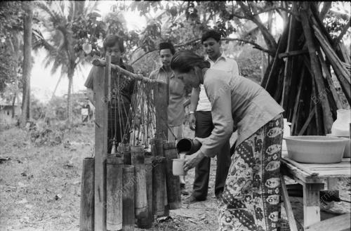 NIRA KELAPA