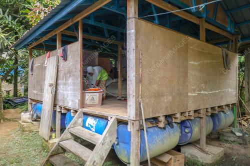 RUMAH RAKIT PENDUDUK LIMAU KASTURI
