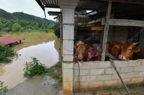 TINJAUAN BANJIR DI KELANTAN