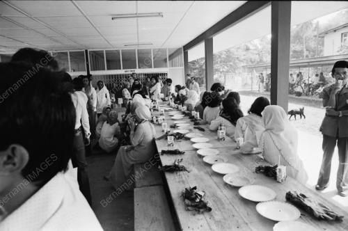 UMNO