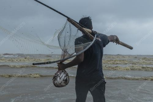 NELAYAN IKAN BELANAK